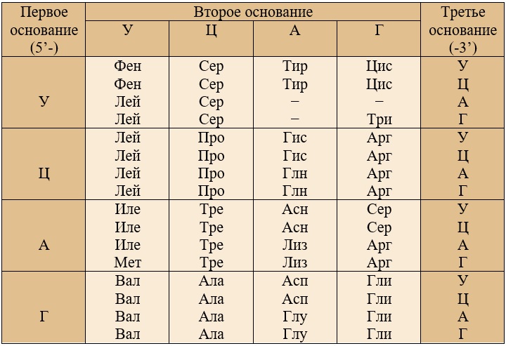 Карта генетического кода